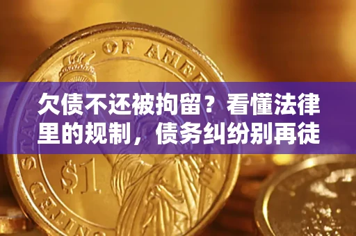 北京欠债不还被拘留？看懂法律里的规制，债务纠纷别再徒劳奔波